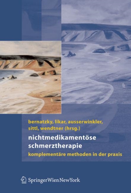 Nichtmedikamentose Schmerztherapie : Komplementare Methoden in Der Praxis, Book Book