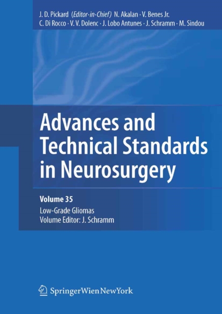 Advances and Technical Standards in Neurosurgery, Vol. 35 : Low-Grade Gliomas. Edited by J. Schramm, PDF eBook