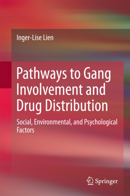 Pathways to Gang Involvement and Drug Distribution : Social, Environmental, and Psychological Factors, PDF eBook