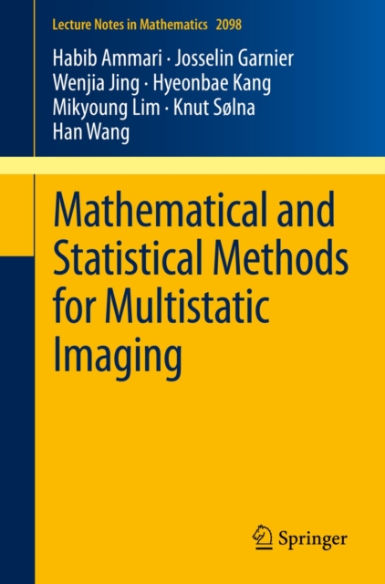 Mathematical and Statistical Methods for Multistatic Imaging, Paperback / softback Book