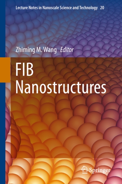 FIB Nanostructures, PDF eBook