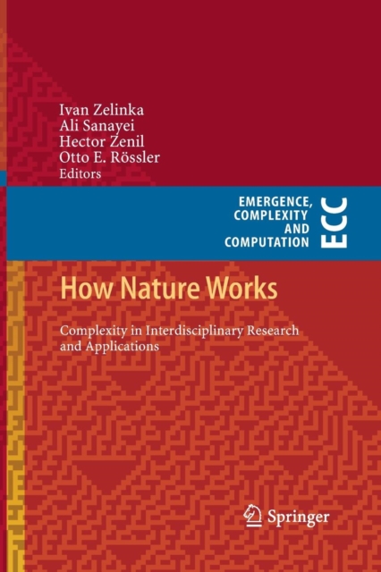 How Nature Works : Complexity in Interdisciplinary Research and Applications, Paperback / softback Book