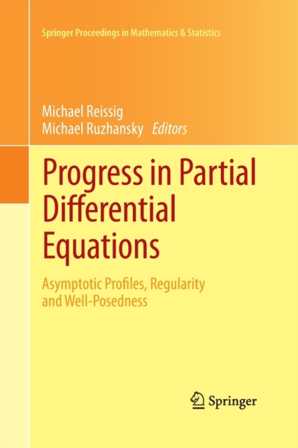 Progress in Partial Differential Equations : Asymptotic Profiles, Regularity and Well-Posedness, Paperback / softback Book
