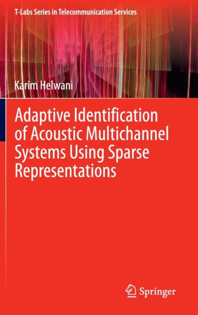 Adaptive Identification of Acoustic Multichannel Systems Using Sparse Representations, Hardback Book