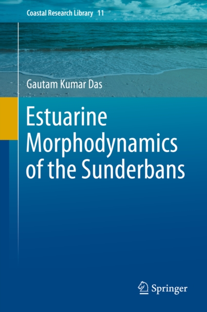 Estuarine Morphodynamics of the Sunderbans, PDF eBook