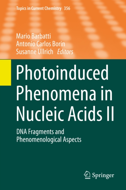 Photoinduced Phenomena in Nucleic Acids II : DNA Fragments and Phenomenological Aspects, PDF eBook