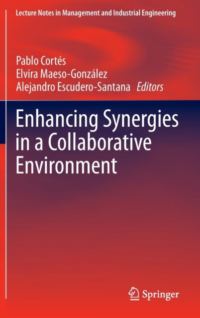 Enhancing Synergies in a Collaborative Environment, Hardback Book