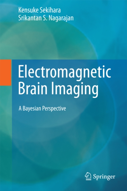 Electromagnetic Brain Imaging : A Bayesian Perspective, PDF eBook