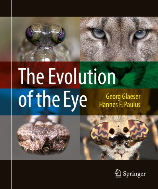 The Evolution of the Eye, PDF eBook
