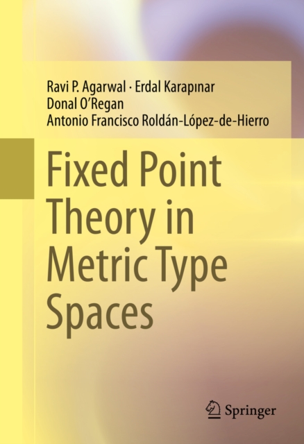Fixed Point Theory in Metric Type Spaces, PDF eBook
