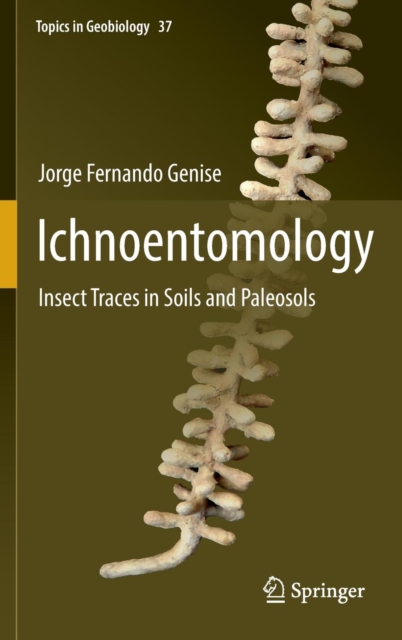 Ichnoentomology : Insect Traces in Soils and Paleosols, Hardback Book