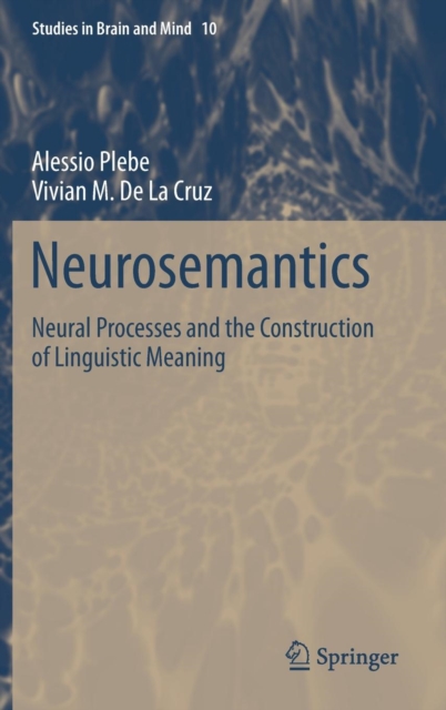 Neurosemantics : Neural Processes and the Construction of Linguistic Meaning, Hardback Book