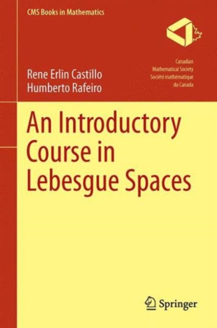 An Introductory Course in Lebesgue Spaces, Hardback Book