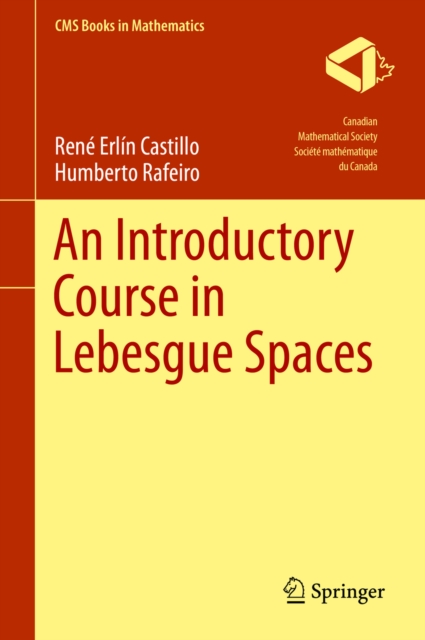 An Introductory Course in Lebesgue Spaces, PDF eBook