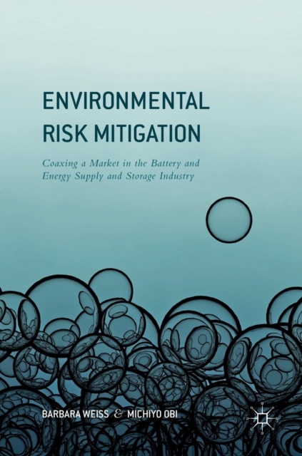Environmental Risk Mitigation : Coaxing a Market in the Battery and Energy Supply and Storage Industry, Hardback Book