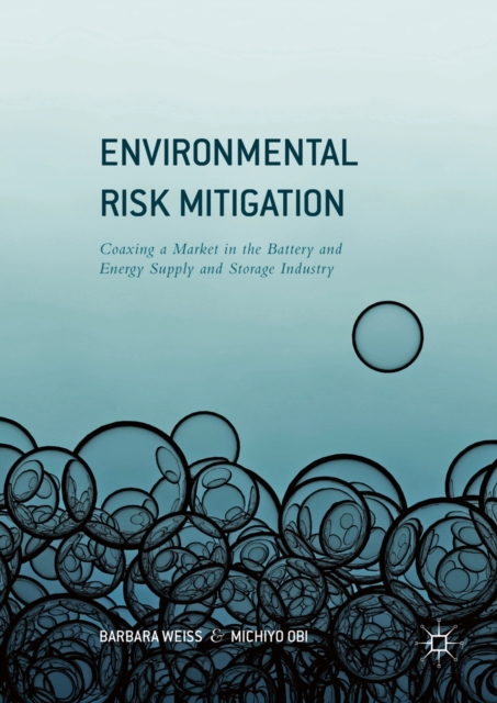Environmental Risk Mitigation : Coaxing a Market in the Battery and Energy Supply and Storage Industry, PDF eBook