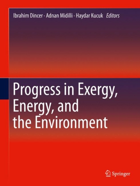 Progress in Exergy, Energy, and the Environment, Paperback / softback Book