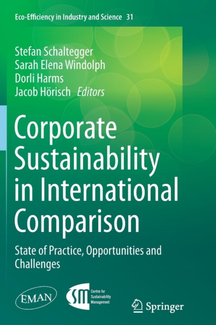 Corporate Sustainability in International Comparison : State of Practice, Opportunities and Challenges, Paperback / softback Book