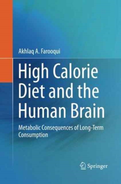 High Calorie Diet and the Human Brain : Metabolic Consequences of Long-Term Consumption, Paperback / softback Book