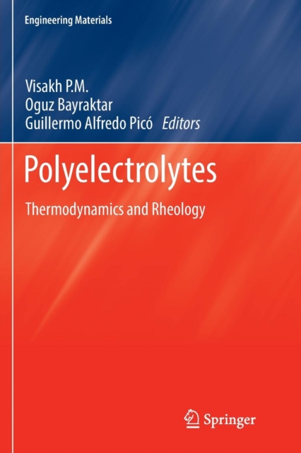 Polyelectrolytes : Thermodynamics and Rheology, Paperback / softback Book