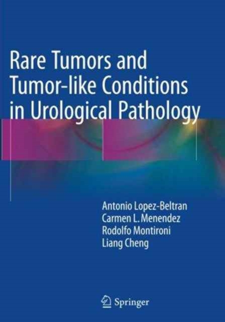 Rare Tumors and Tumor-like Conditions in Urological Pathology, Paperback / softback Book