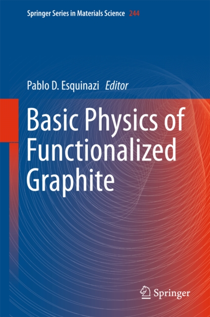 Basic Physics of Functionalized Graphite, PDF eBook