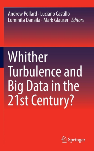 Whither Turbulence and Big Data in the 21st Century?, Hardback Book