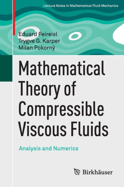 Mathematical Theory of Compressible Viscous Fluids : Analysis and Numerics, Paperback / softback Book