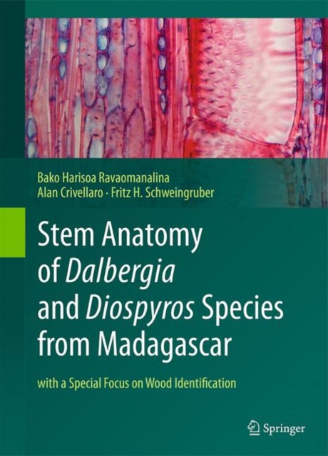 Stem Anatomy of Dalbergia and Diospyros Species from Madagascar : with a Special Focus on Wood Identification, Hardback Book