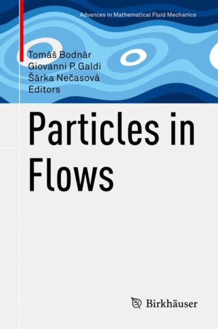 Particles in Flows, Hardback Book