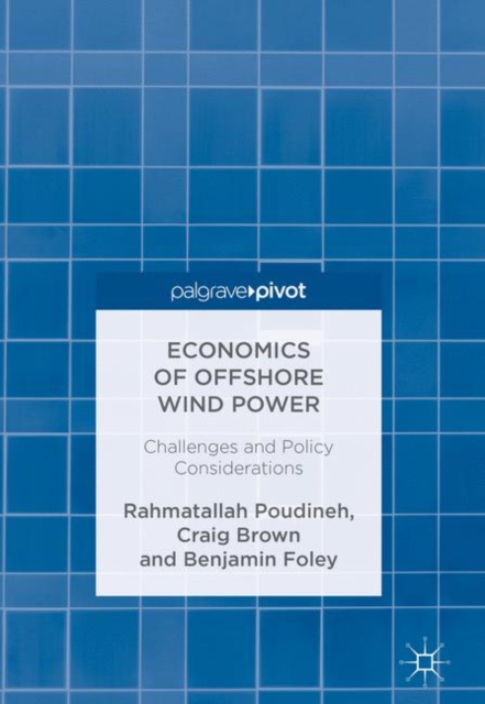 Economics of Offshore Wind Power : Challenges and Policy Considerations, Hardback Book