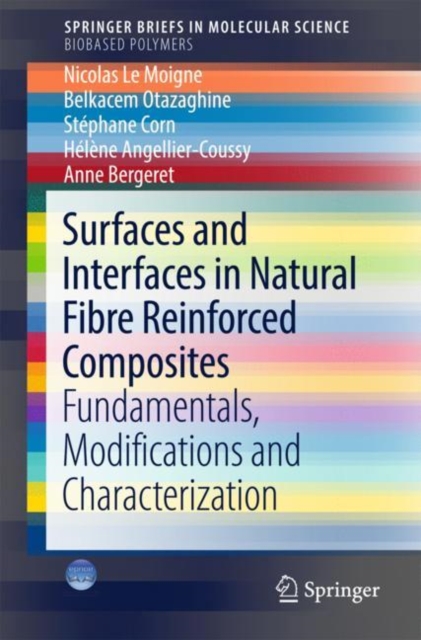 Surfaces and Interfaces in Natural Fibre Reinforced Composites : Fundamentals, Modifications and Characterization, Paperback / softback Book