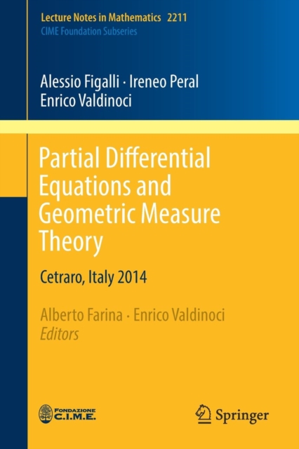 Partial Differential Equations and Geometric Measure Theory : Cetraro, Italy 2014, Paperback / softback Book