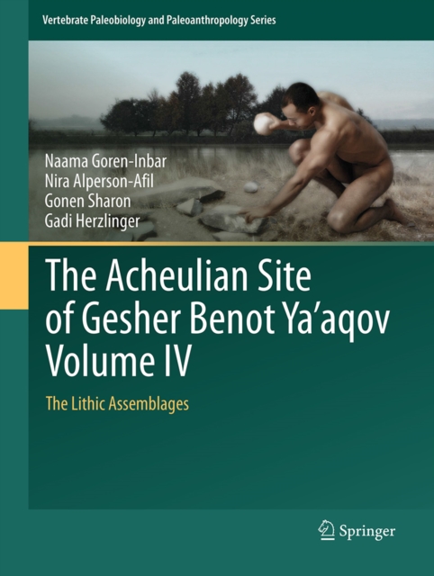 The Acheulian Site of Gesher Benot Ya'aqov Volume IV : The Lithic Assemblages, PDF eBook