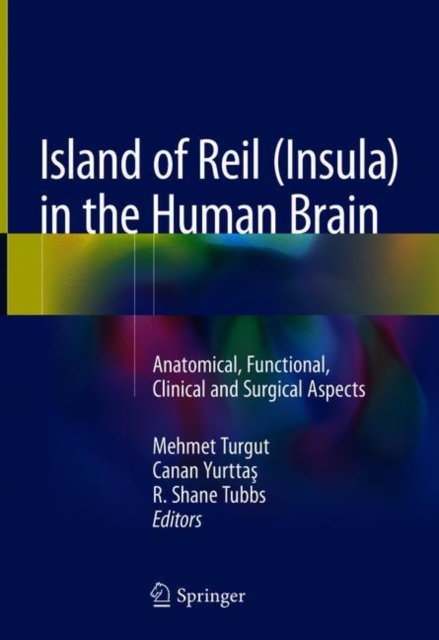 Island of Reil (Insula) in the Human Brain : Anatomical, Functional, Clinical and Surgical Aspects, Hardback Book