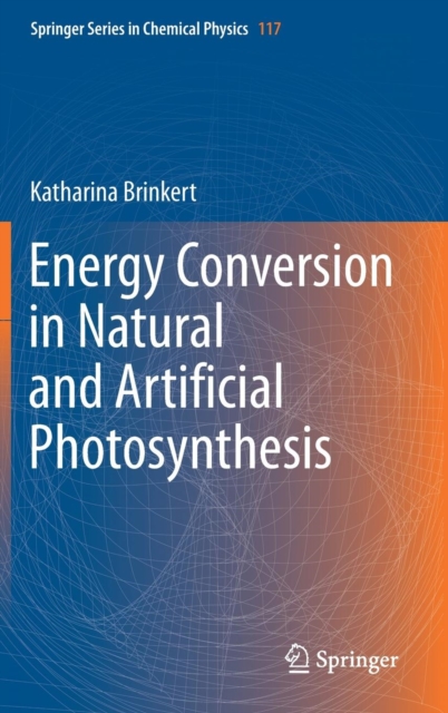 Energy Conversion in Natural and Artificial Photosynthesis, Hardback Book