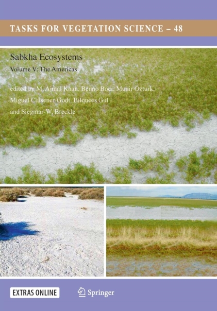 Sabkha Ecosystems : Volume V: The Americas, Paperback / softback Book
