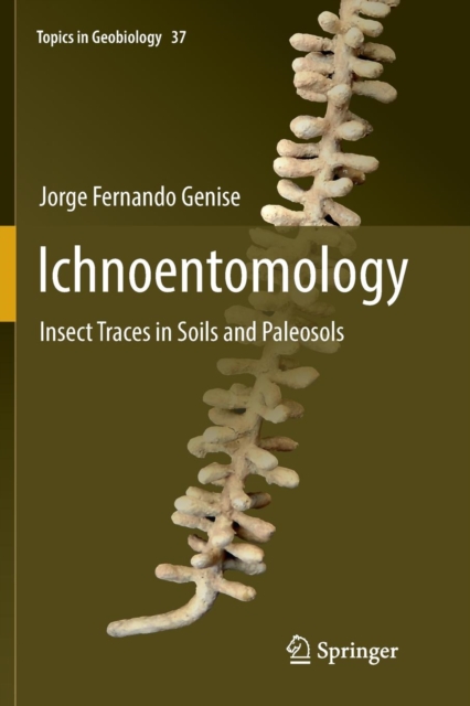 Ichnoentomology : Insect Traces in Soils and Paleosols, Paperback / softback Book