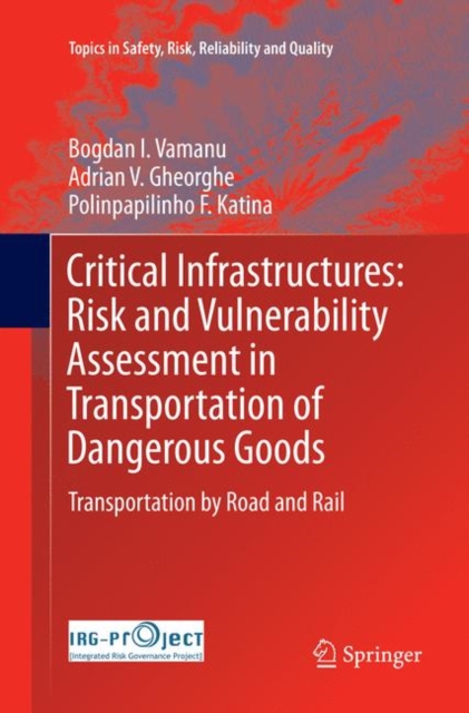 Critical Infrastructures: Risk and Vulnerability Assessment in Transportation of Dangerous Goods : Transportation by Road and Rail, Paperback / softback Book