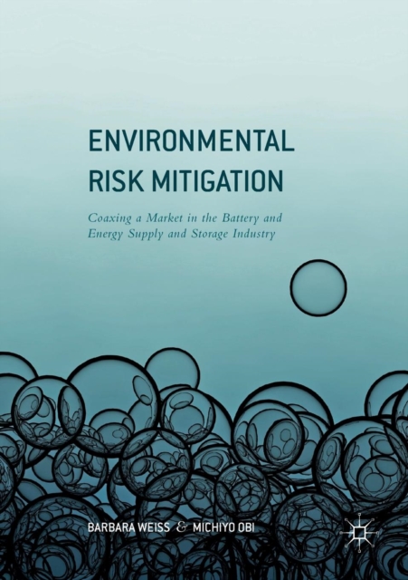 Environmental Risk Mitigation : Coaxing a Market in the Battery and Energy Supply and Storage Industry, Paperback / softback Book
