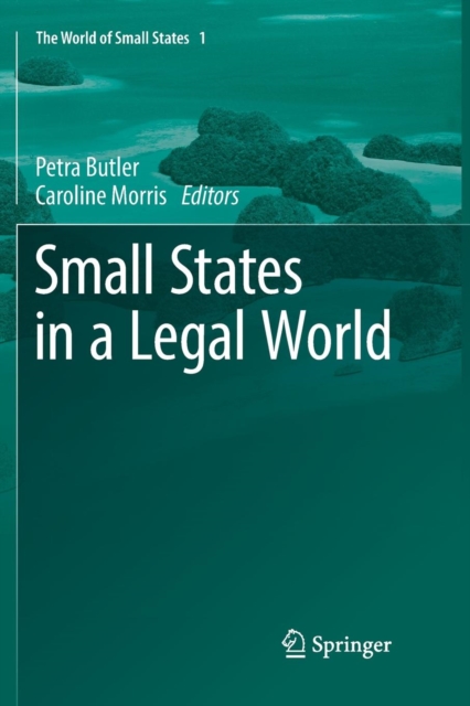 Small States in a Legal World, Paperback / softback Book