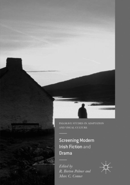 Screening Modern Irish Fiction and Drama, Paperback / softback Book