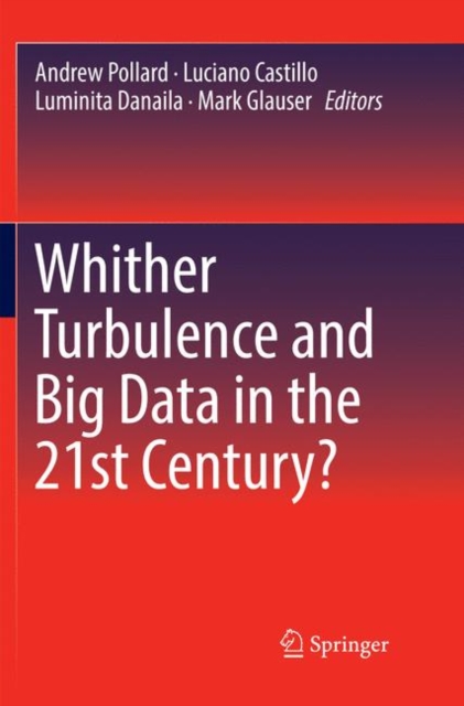 Whither Turbulence and Big Data in the 21st Century?, Paperback / softback Book