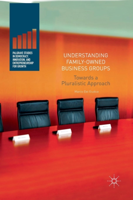 Understanding Family-Owned Business Groups : Towards a Pluralistic Approach, Paperback / softback Book