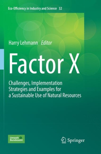 Factor X : Challenges, Implementation Strategies and Examples for a Sustainable Use of Natural Resources, Paperback / softback Book