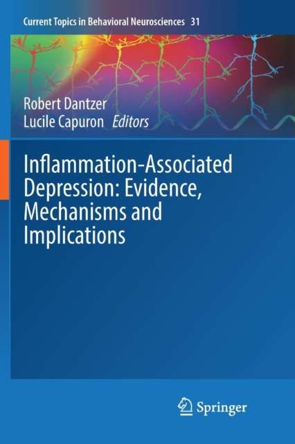 Inflammation-Associated Depression: Evidence, Mechanisms and Implications, Paperback / softback Book