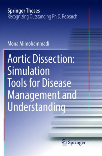 Aortic Dissection: Simulation Tools for Disease Management and Understanding, Paperback / softback Book