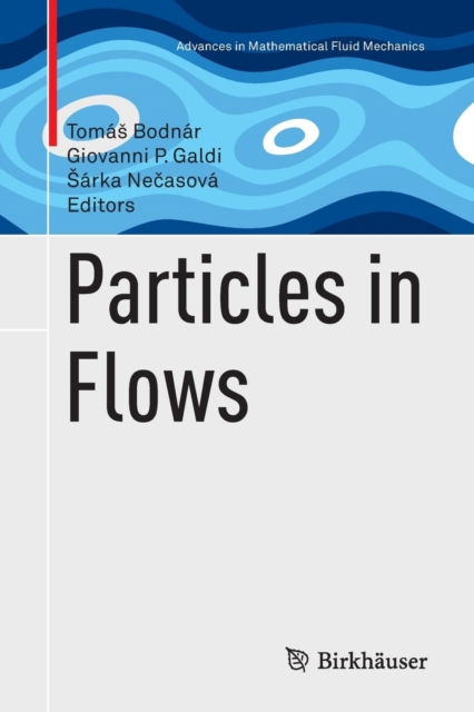 Particles in Flows, Paperback / softback Book