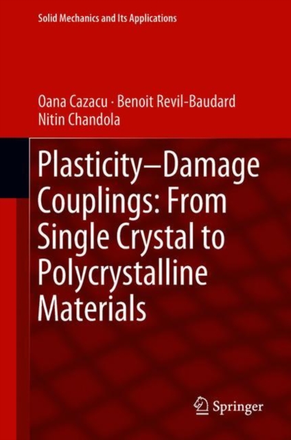 Plasticity-Damage Couplings: From Single Crystal to Polycrystalline Materials, Hardback Book