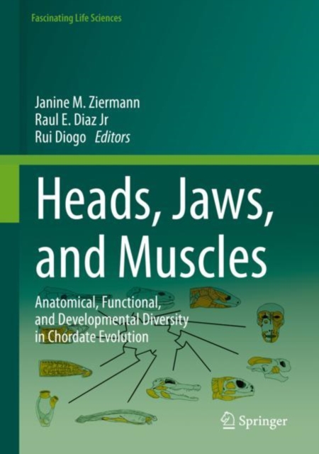 Heads, Jaws, and Muscles : Anatomical, Functional, and Developmental Diversity in Chordate Evolution, Hardback Book